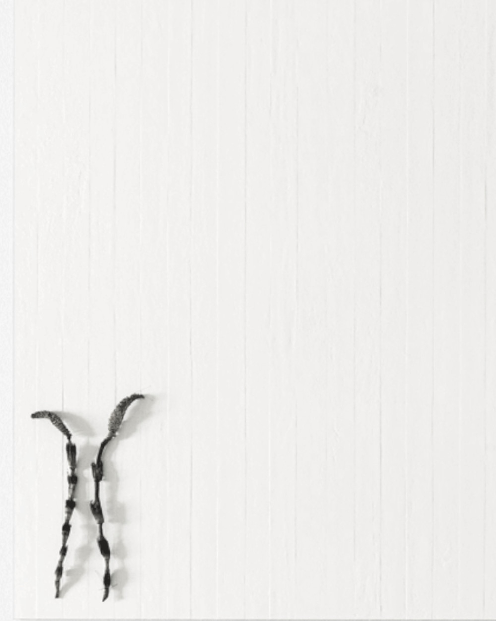 Weiße Wandfliesen mit Streifen 45x90 cm 2. Wahl |  Fliesen Sonderposten