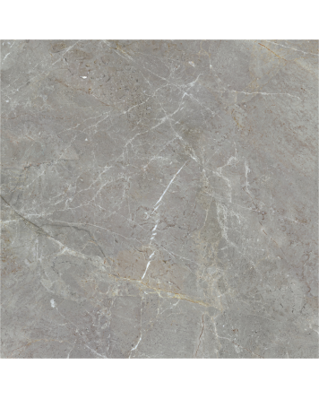 AUGUSTUS GREY NATURAL RECT 120X120