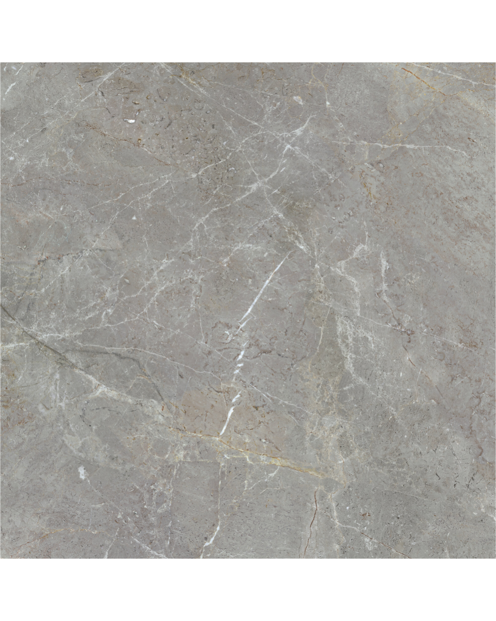 AUGUSTUS GREY NATURAL RECT 120X120