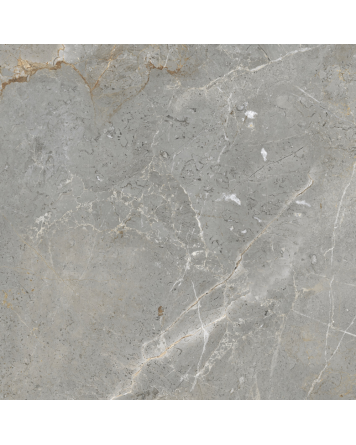 AUGUSTUS GREY NATURAL RECT 60x60