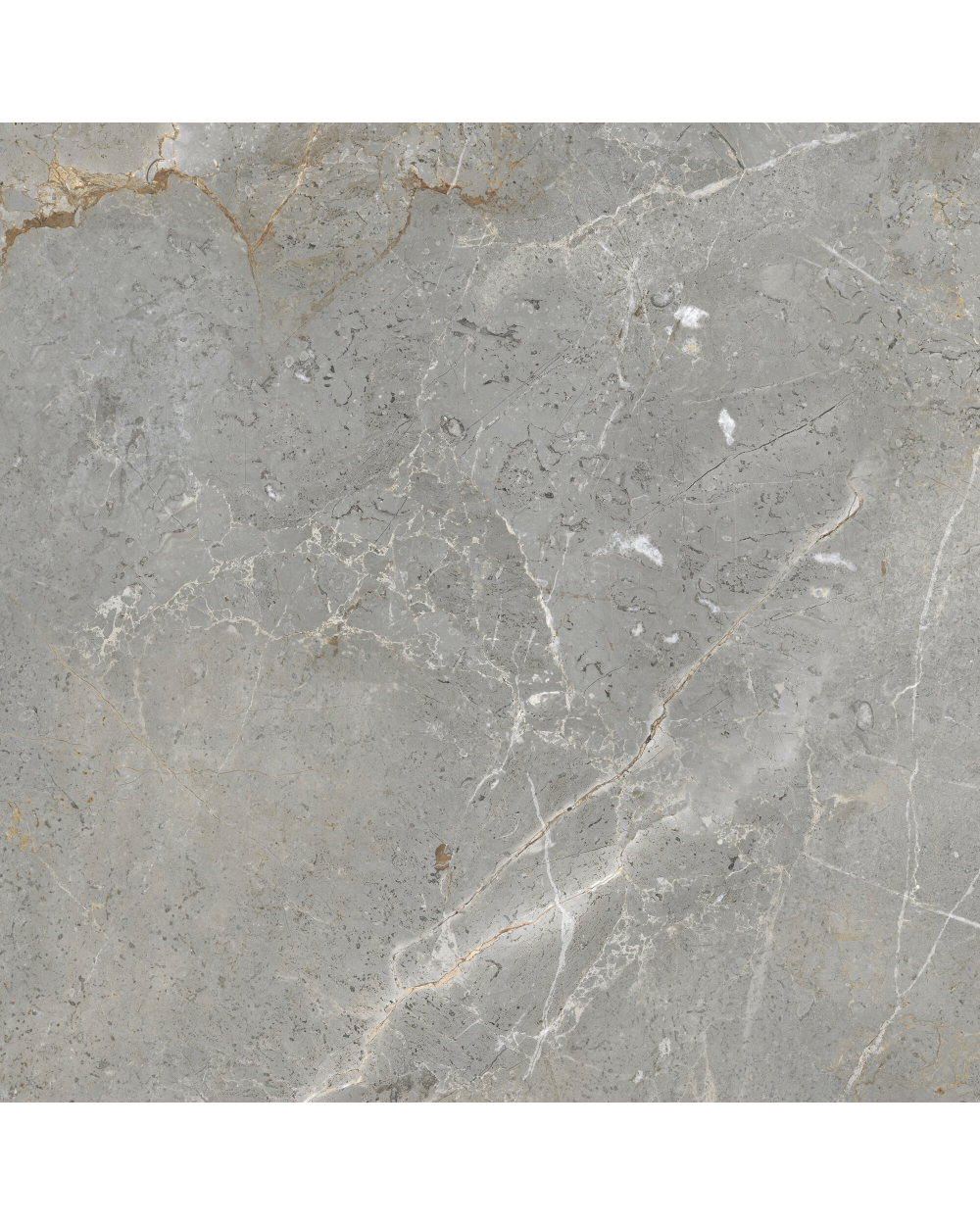 AUGUSTUS GREY NATURAL RECT 60x60