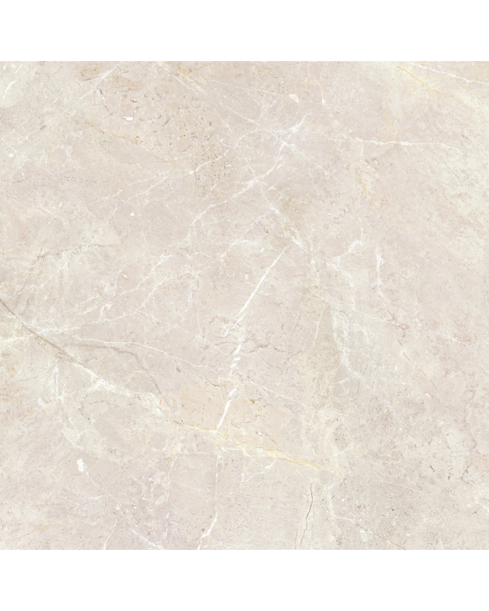AUGUSTUS Cream NATURAL RECT 120X120