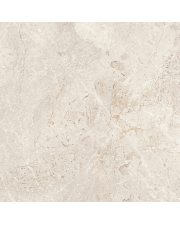 AUGUSTUS Cream NATURAL RECT 60x60