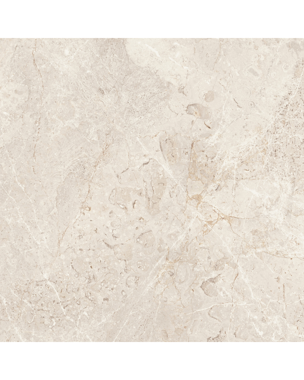 AUGUSTUS Cream NATURAL RECT 60x60