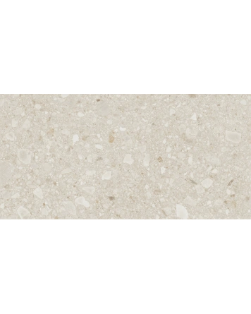 Terrazzo Tile in Beige, Matt and Rectified