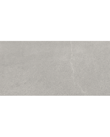 Nordic Grey in Grey, Matt, 30x60 cm, Stone Look