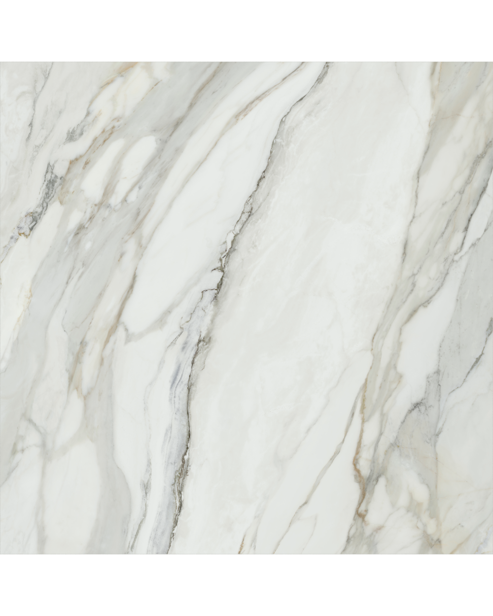 XXL tile 120x120 cm Polished Arabescato Corchia