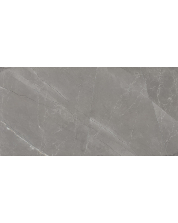 Pulpis Grey Matt 60x120 | SPECIAL OFFER