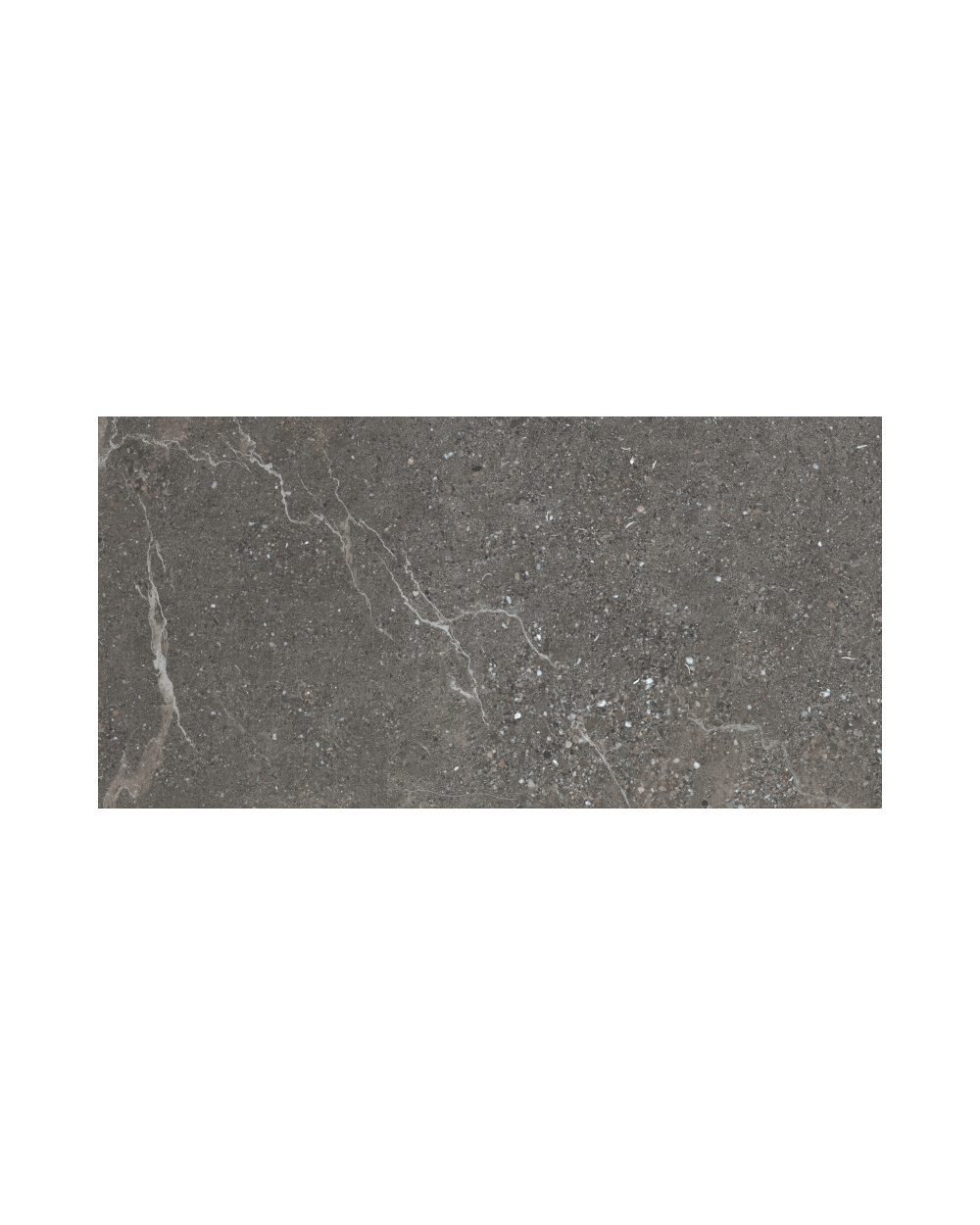 Fliesen in Steinoptik Anthrazit 60x120 cm | Volt Stone