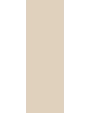 ALL BEIGE MATT RECT 30X90