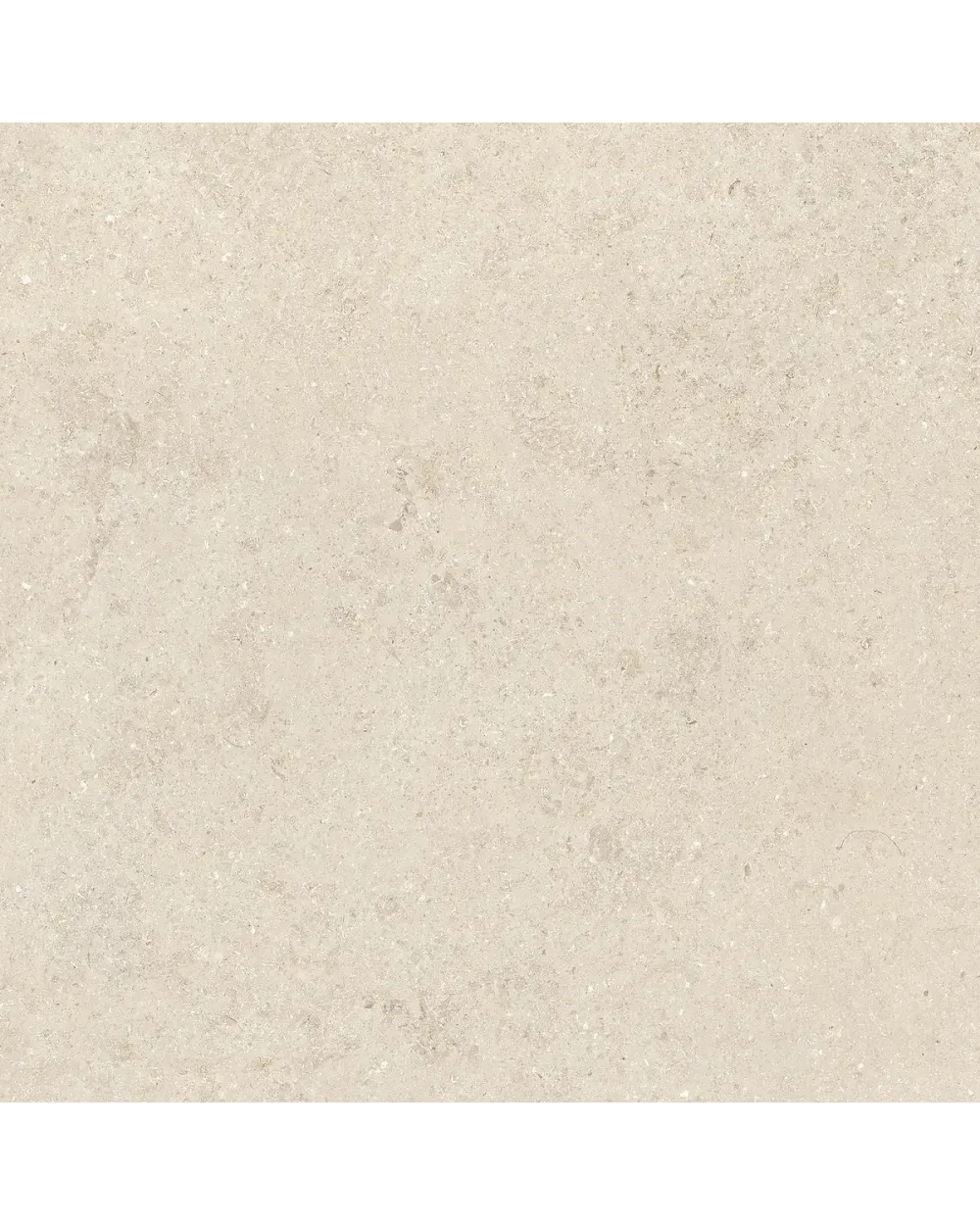 Ivory Stein-Optik Fliese 60x60 cm, matt rektifiziert
