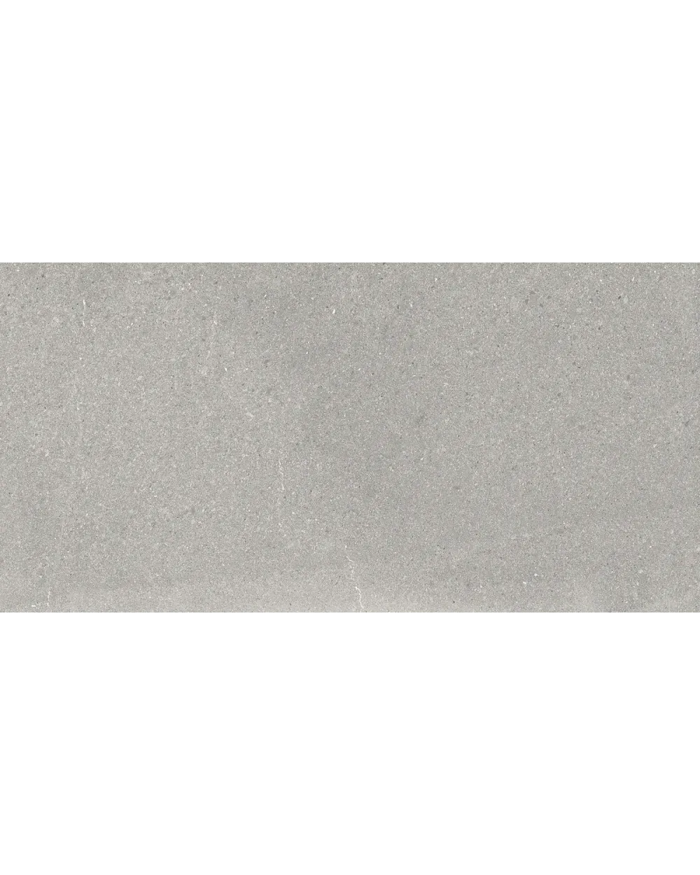 Nordic Grey in Grey, Matt, 30x60 cm, Stone Look