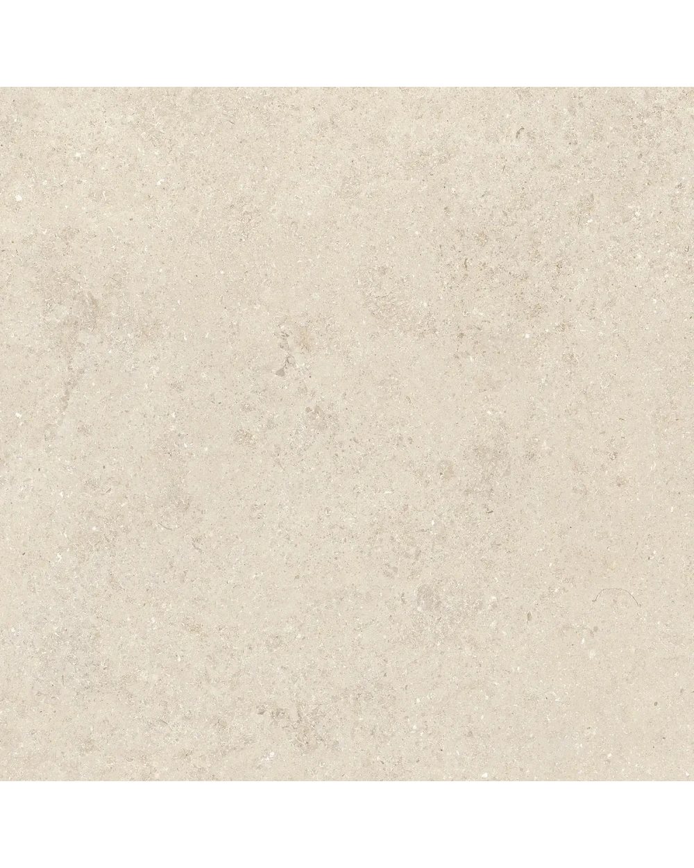 Ivory Stone-Look Tile 60x60 cm, Matt Rectified