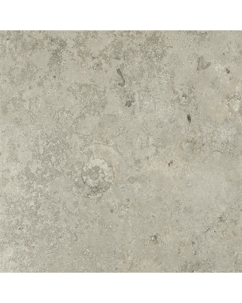 Blendstone Grey 60x60 cm, matt grau, Stein-Optik