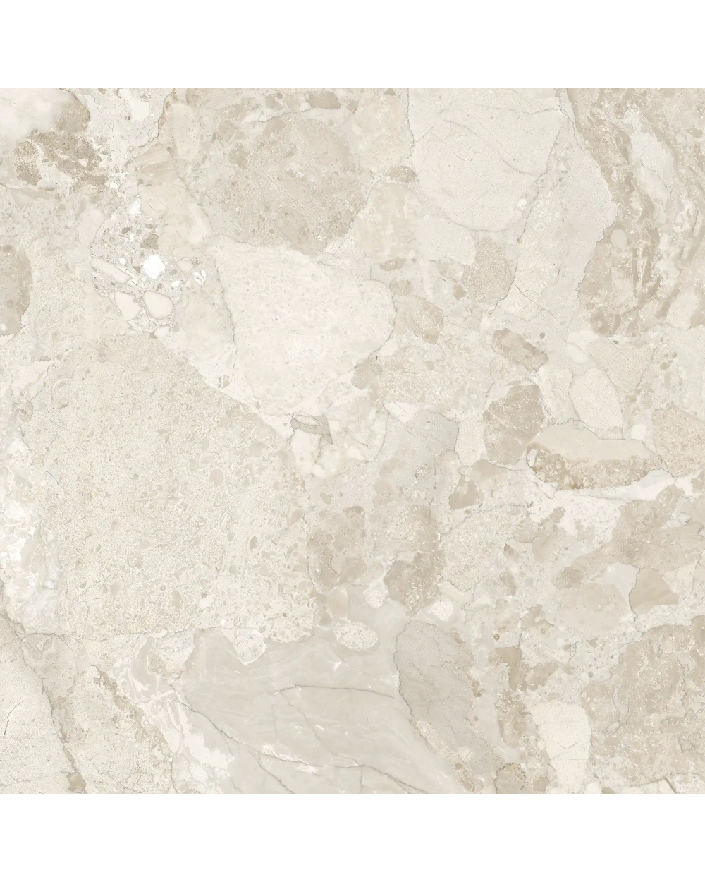 Terrazzo-Fliese Beige im Quadratformat, matt und rektifiziert