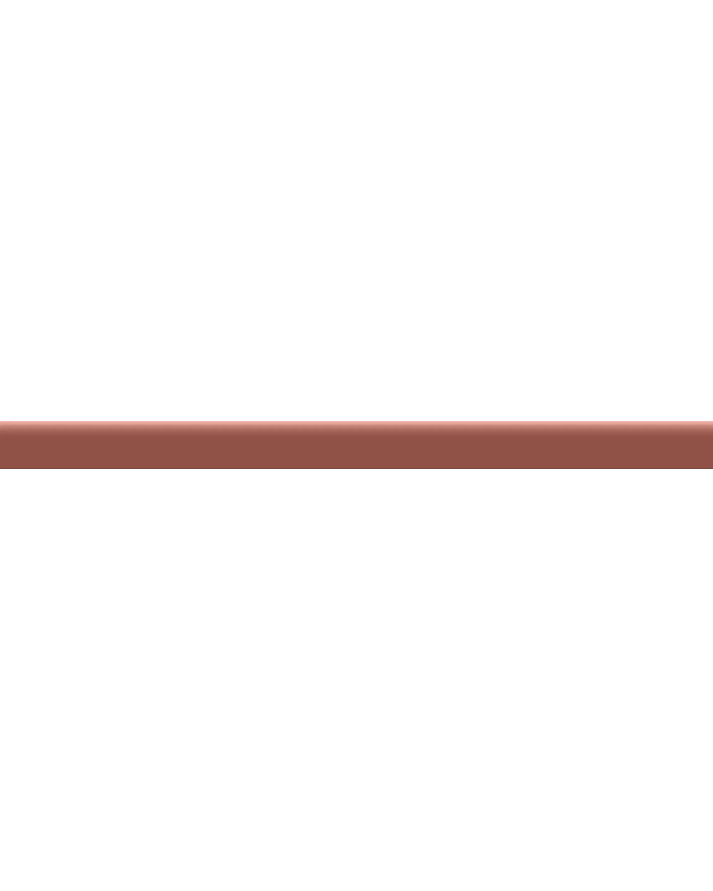 Boiserie Border Tile Bordeaux Matt 2x30 cm for the Wall