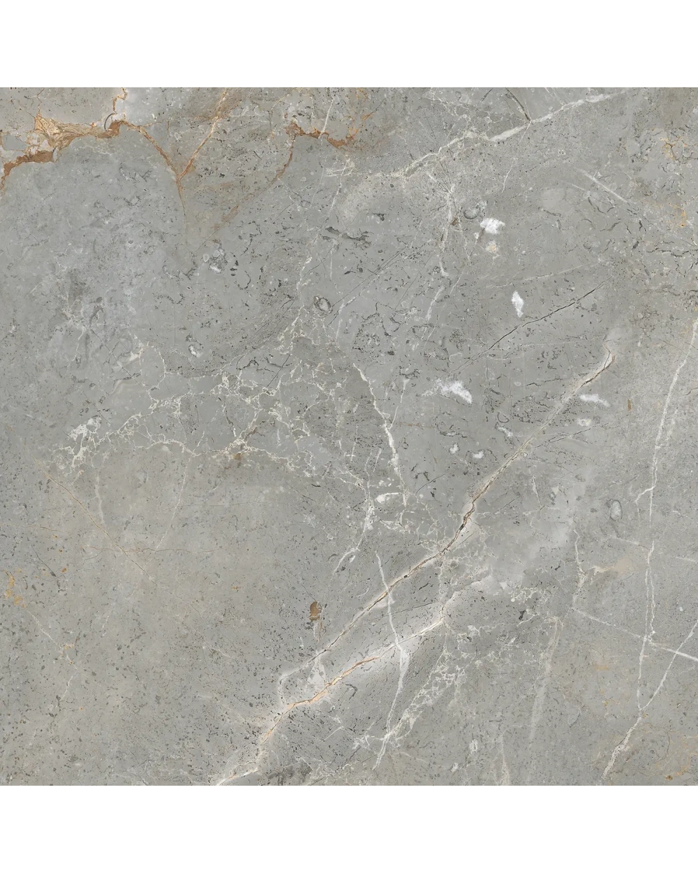 Augustus Grey: Matte Marble-Look Porcelain Tile 60x60 cm