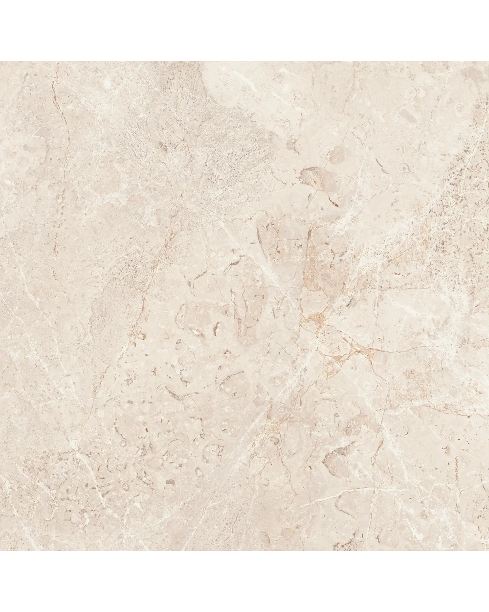 Augustus Cream Natural: Marble-Look Tile Matt, 60x60 cm