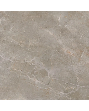 Augustus Brown Naturale 120x120 cm, matt und rektifiziert