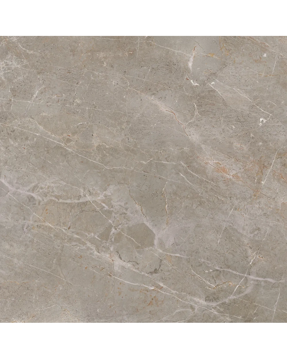 Augustus Brown Naturale 120x120 cm, matt und rektifiziert