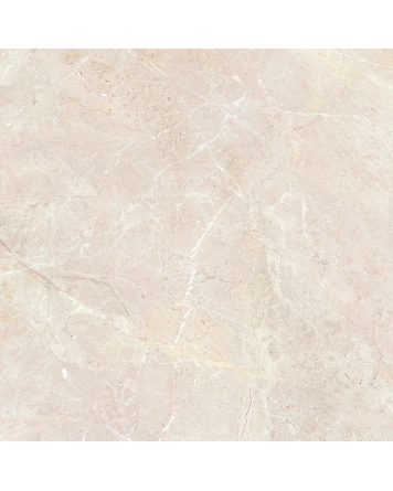 Augustus Cream Natural 120x120 cm, matt und rektifiziert