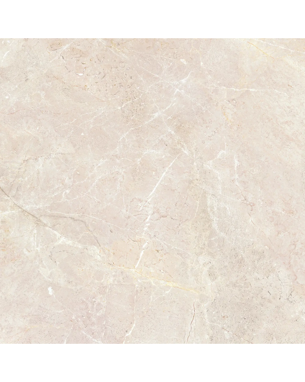 Augustus Cream Natural 120x120 cm, Matt and Rectified