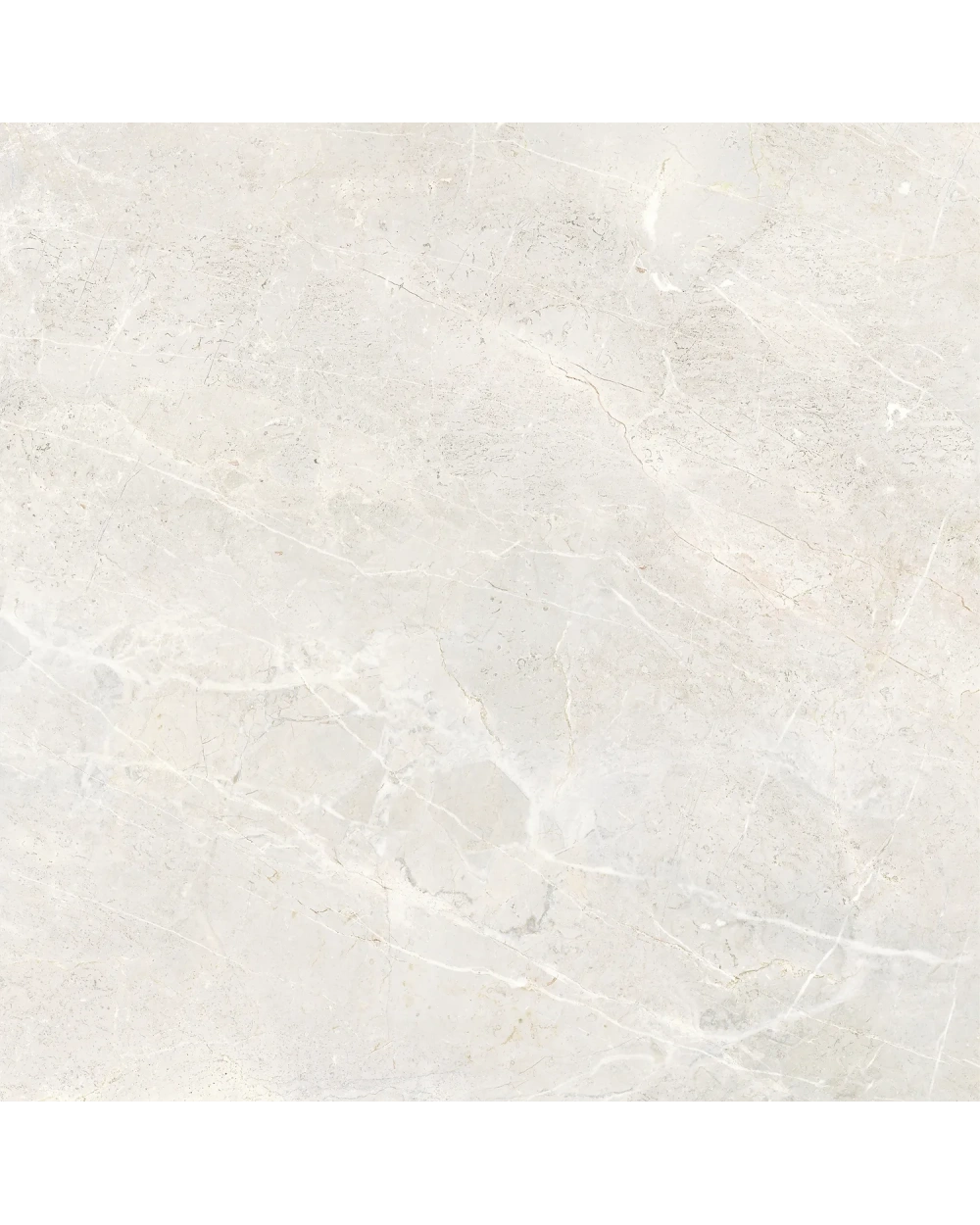 Augustus Pearl Naturale 120x120 cm, matt und rektifiziert