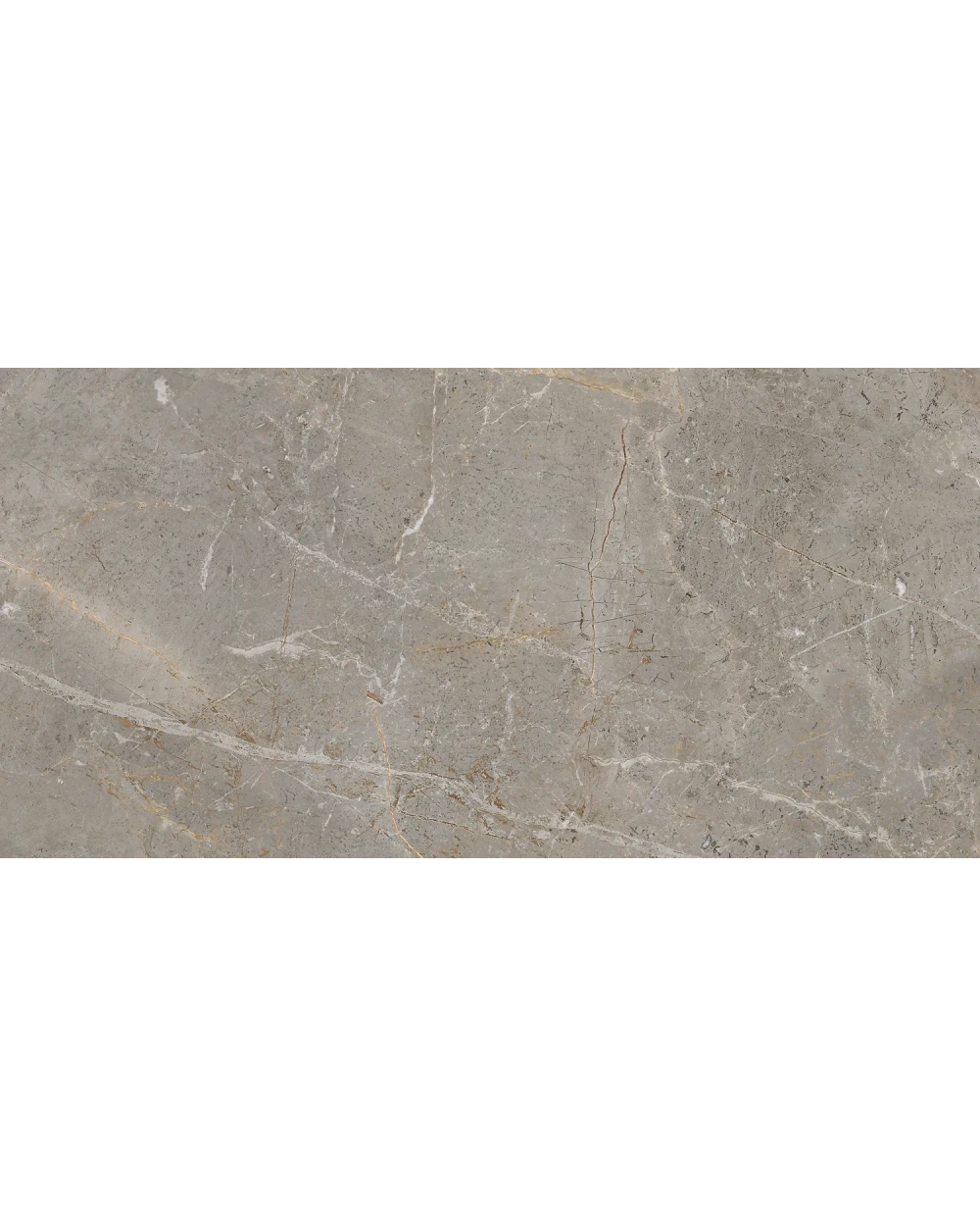 Augustus Brown Natural in Marble Look, Matt, R10 B, 60x120 cm