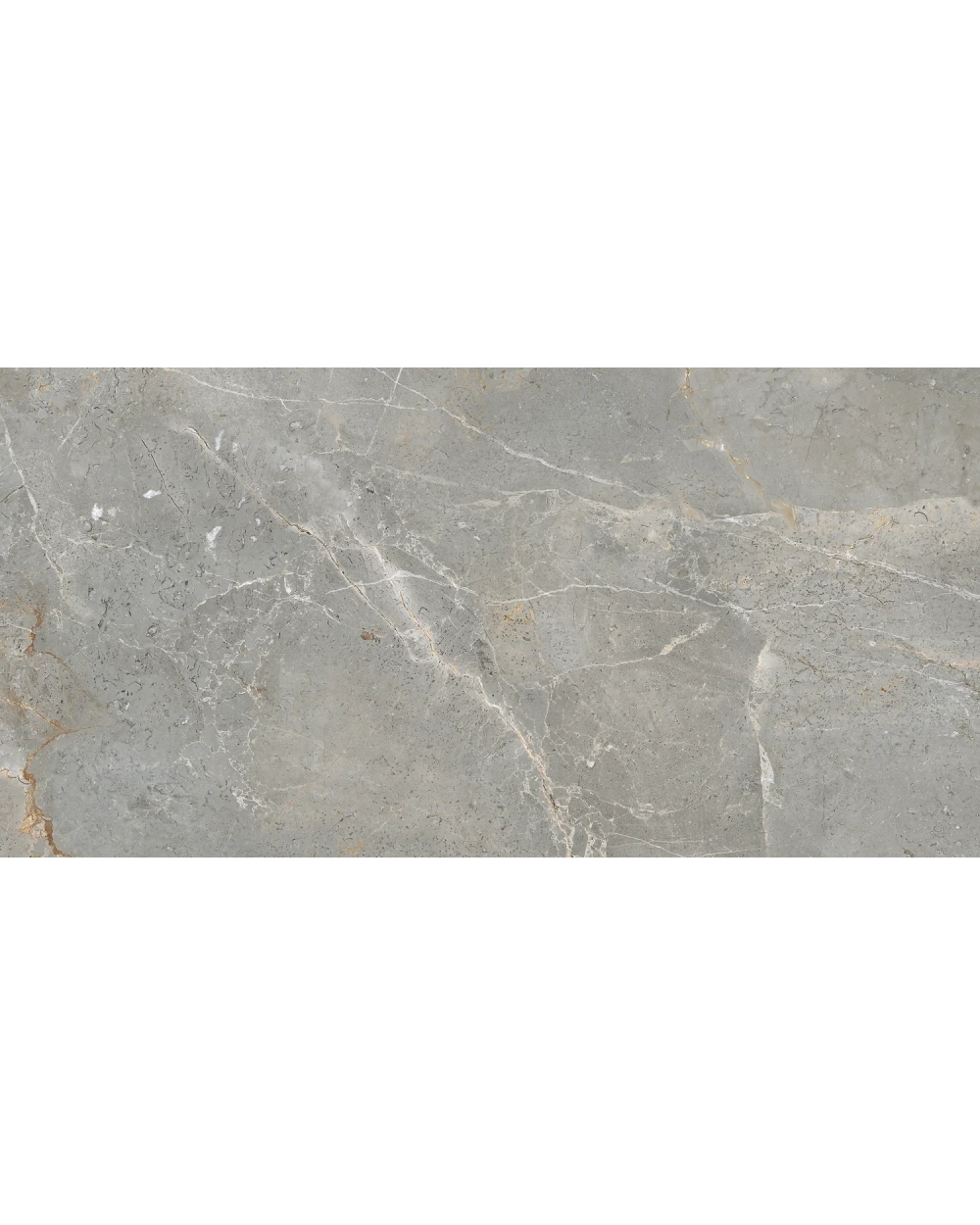 Augustus Grey Glossy, 60x120 cm, Polished Marble Look