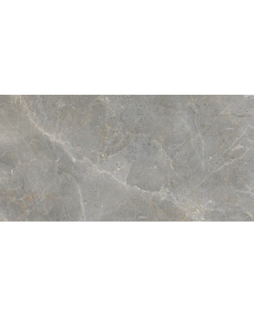Augustus Grey Natural Fliese 60x120 cm, matt im Marmorlook