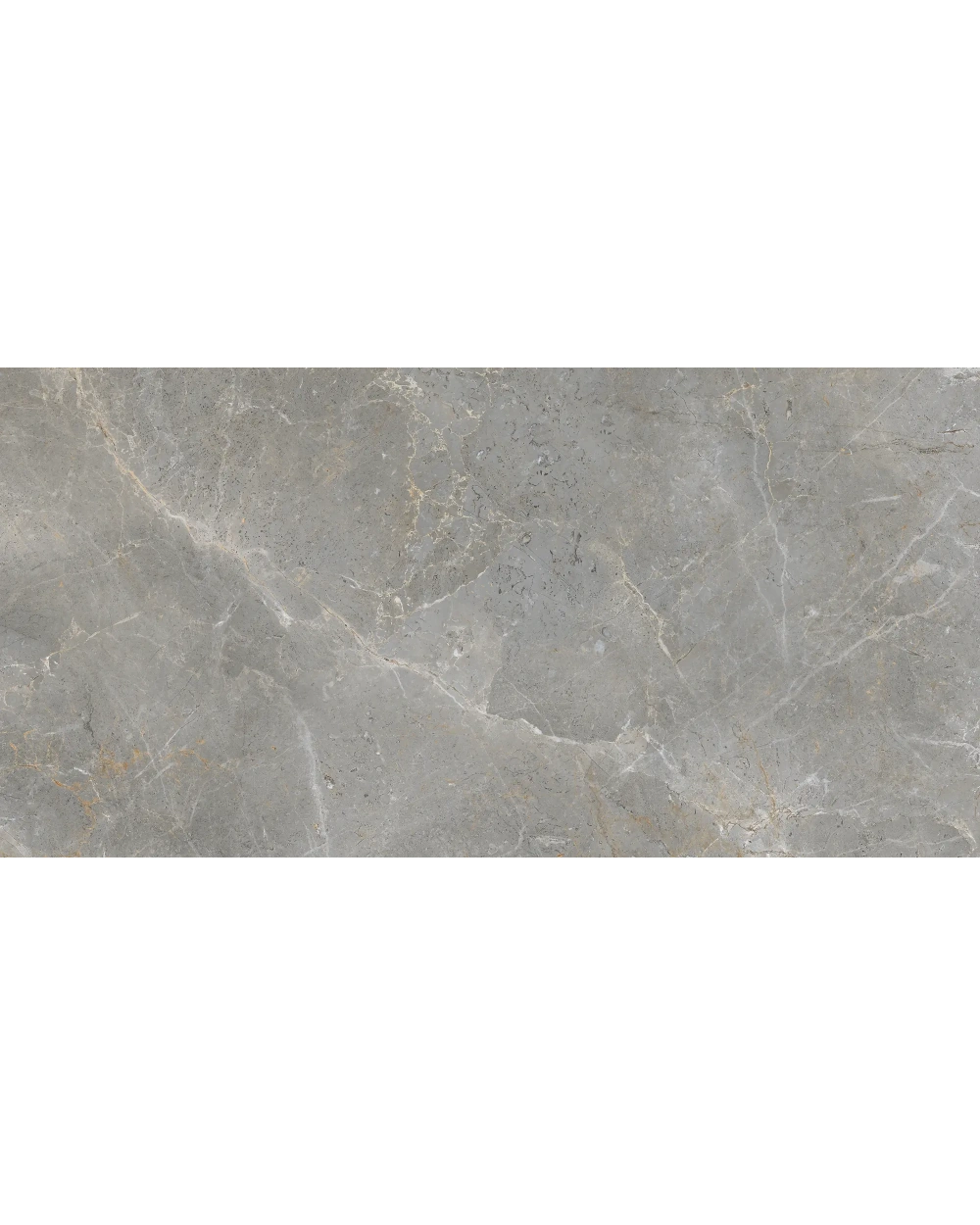 Augustus Grey Natural Fliese 60x120 cm, matt im Marmorlook