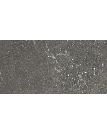 Volt Stone: Stein-Optik in Anthrazit, matt, 30x60 cm