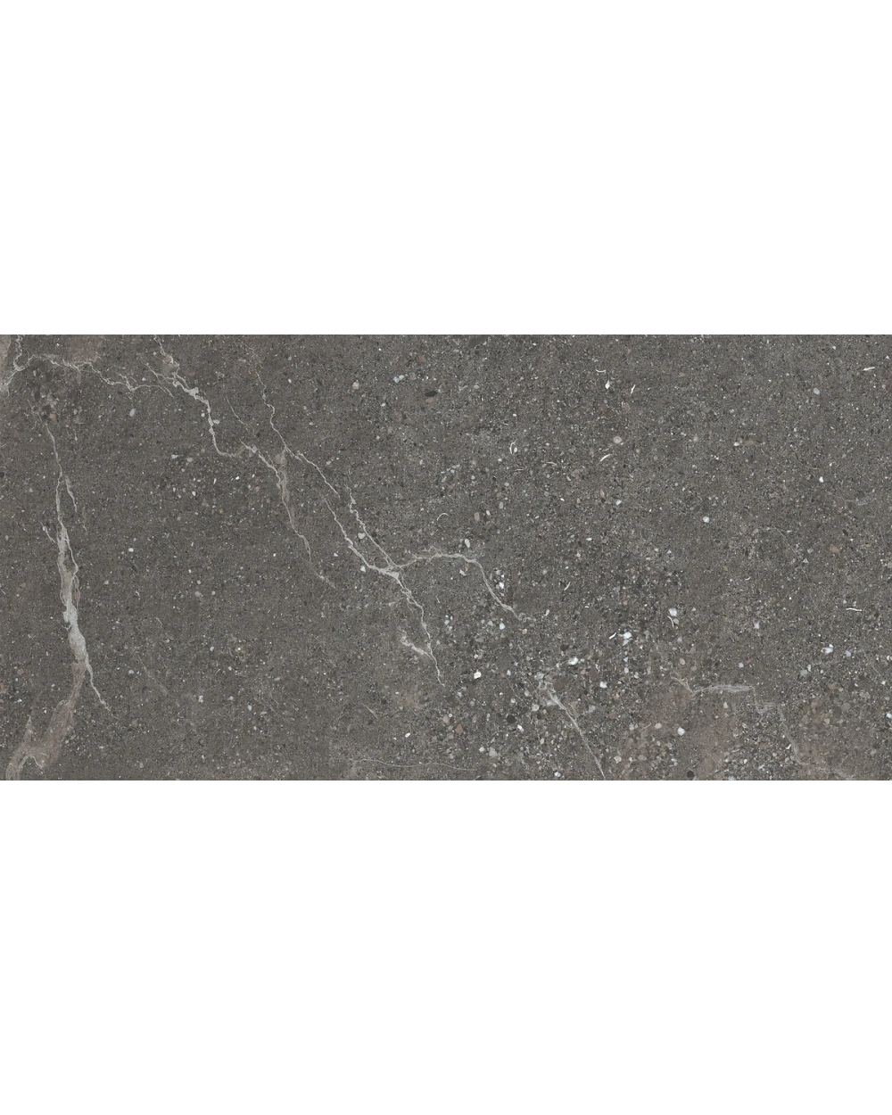 Volt Stone Anthrazit matt – Fliese 60x120 cm