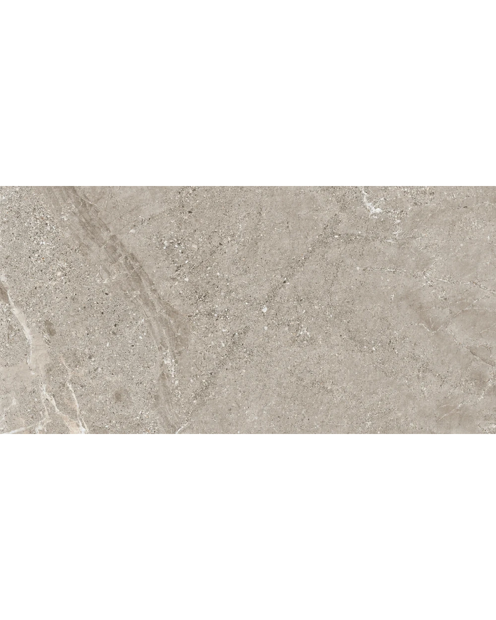 Volt Stone Grey 60x120 cm, Matt, Stone Look