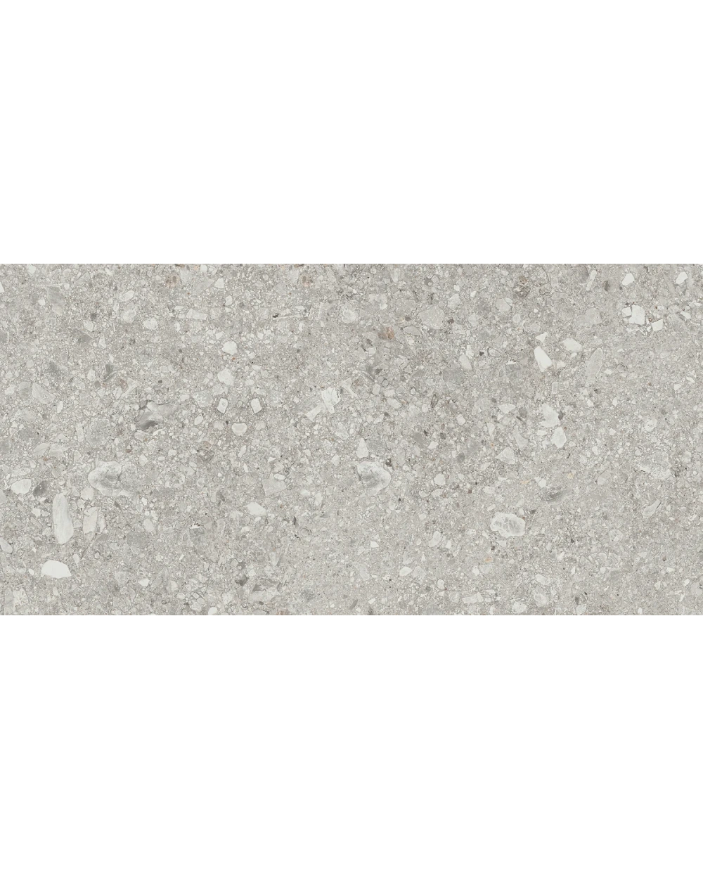 CEPPO Terrazzo Tile Grey Matt 60x120 cm, R10