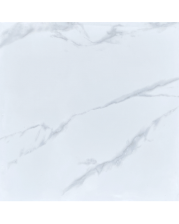 Artic Carrara 60x60 cm Shiny