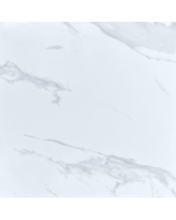 Artic Carrara Bodenfliesen 60x60 cm poliert in Marmoroptik| Fliesen Online Shop