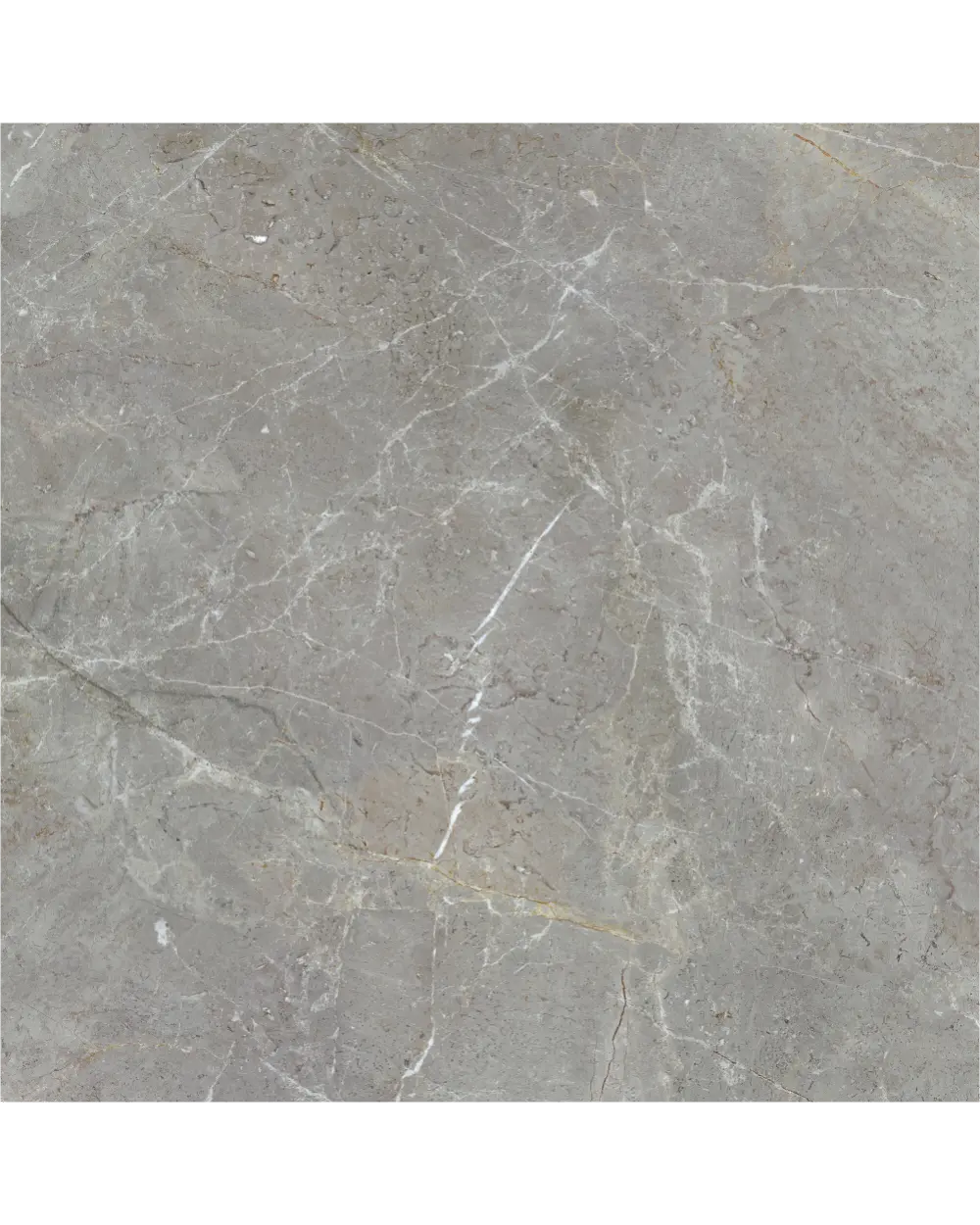 AUGUSTUS GREY NATURAL RECT 120X120