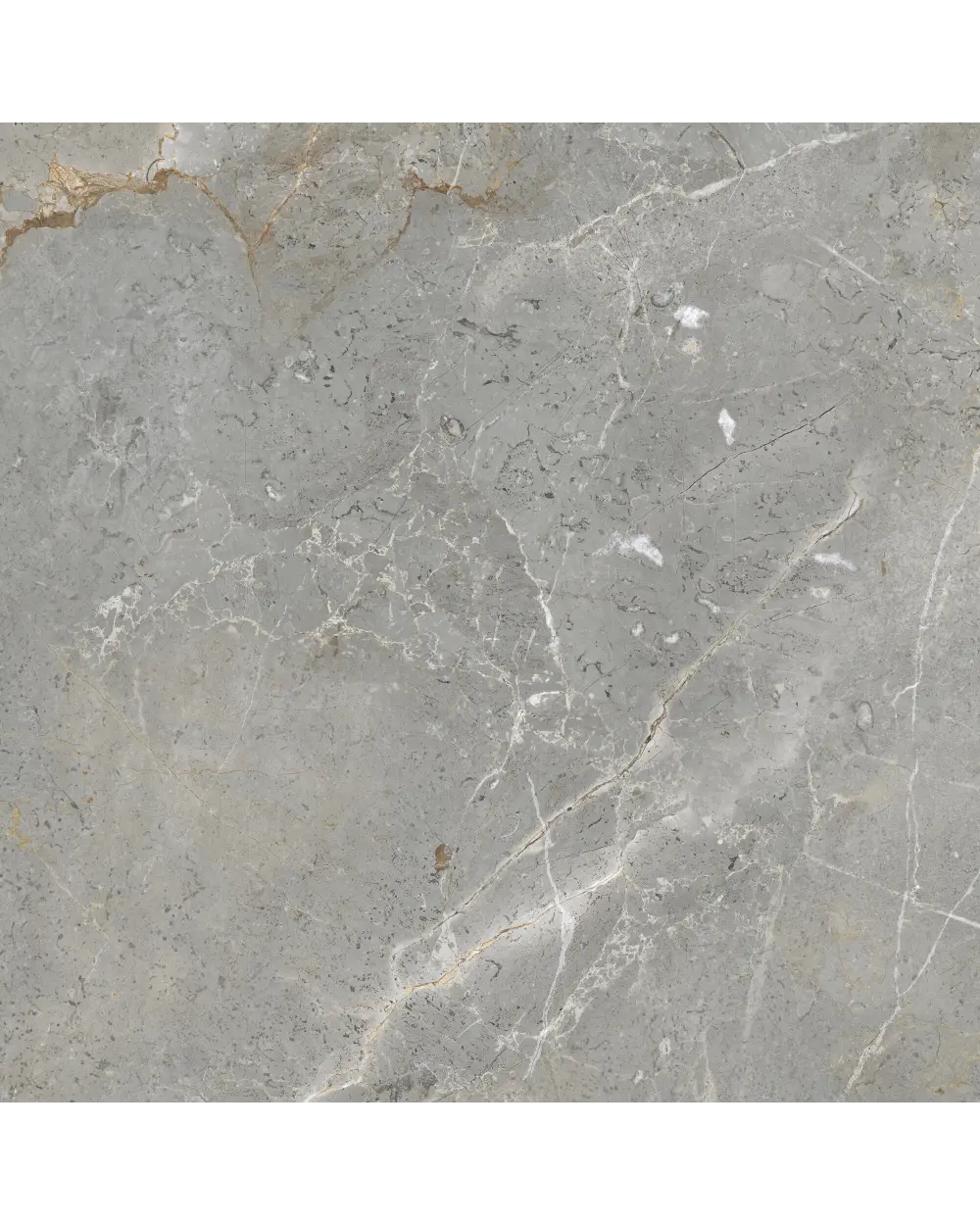 AUGUSTUS GREY NATURAL RECT 60x60