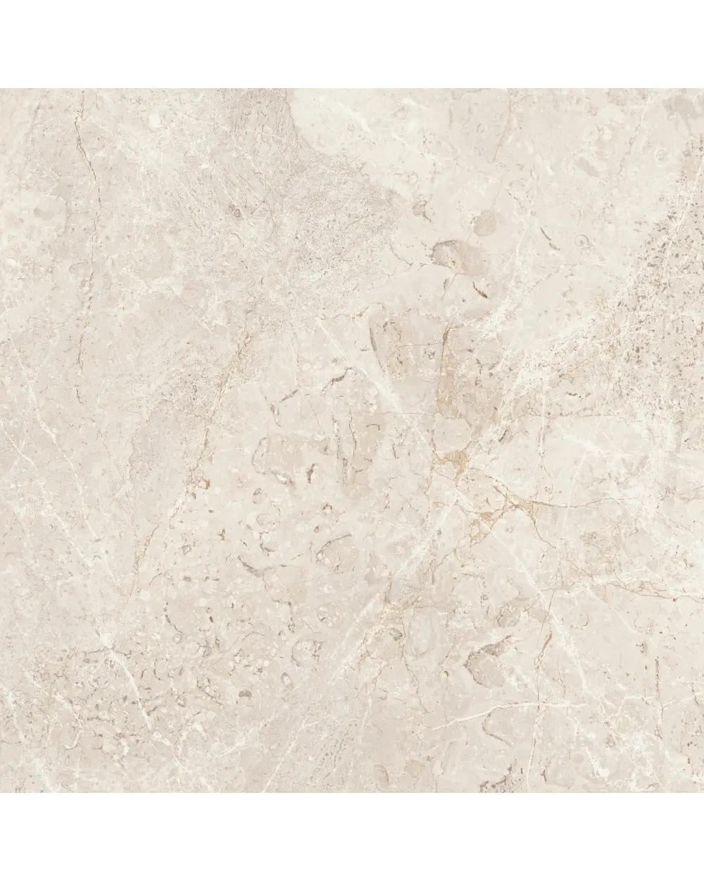 AUGUSTUS Cream NATURAL RECT 60x60