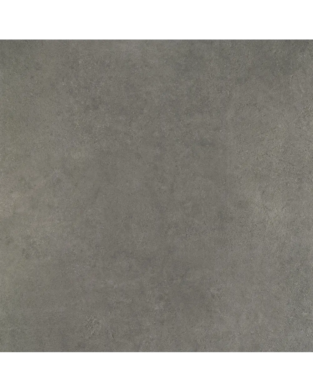Fliesen in Betonoptik anpoliert 60x120 cm Taupe | Wabi Taupe Lappato