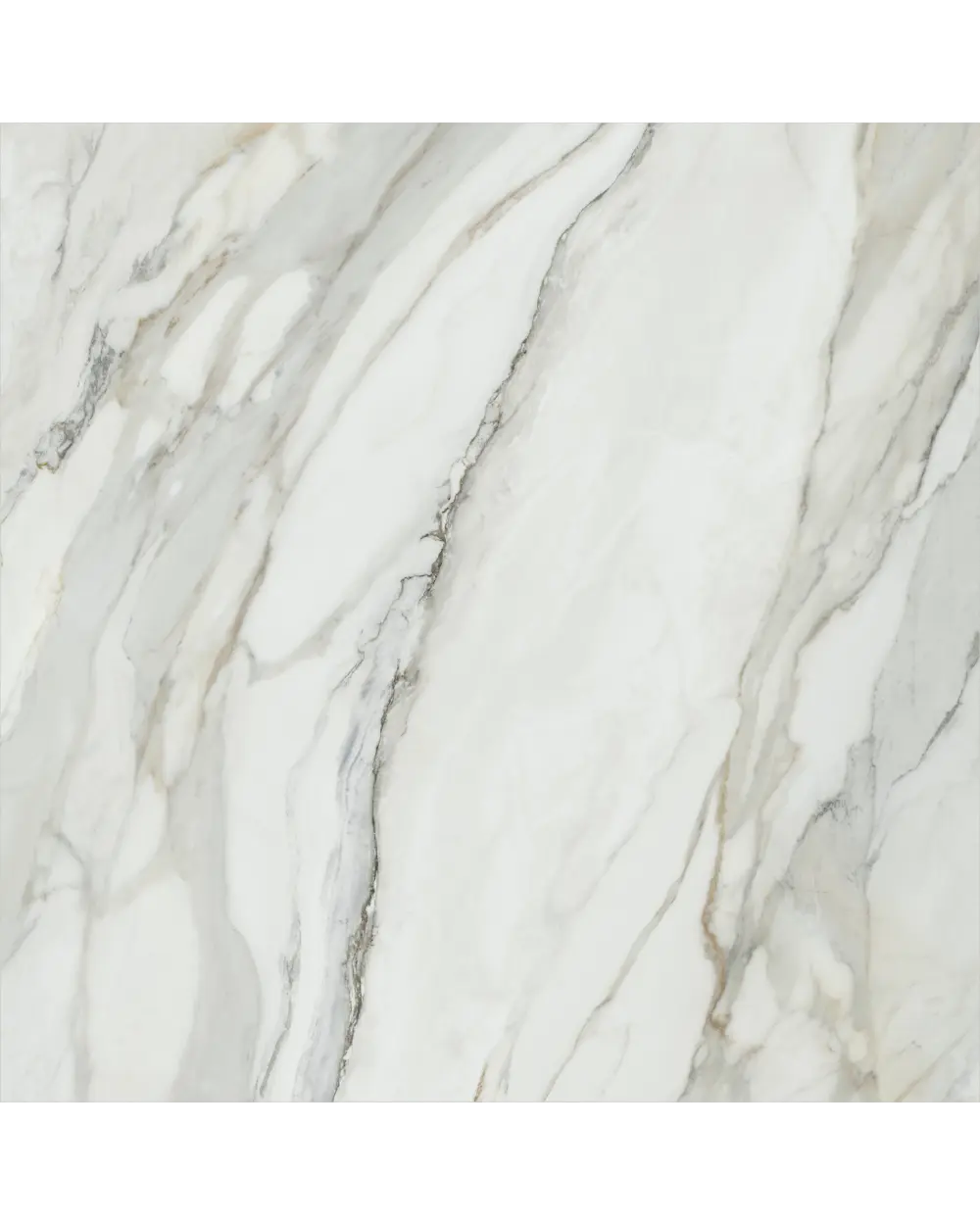 XXL Fliese 120x120 cm Poliert Arabescato Corchia