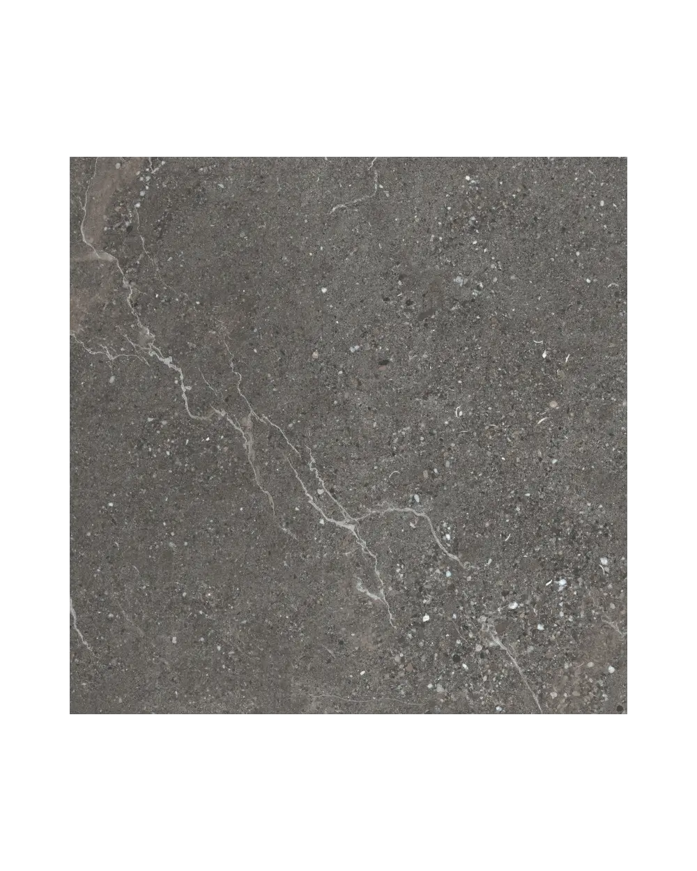 Fliesen in Steinoptik Anthrazit 60x60 cm | Volt Stone