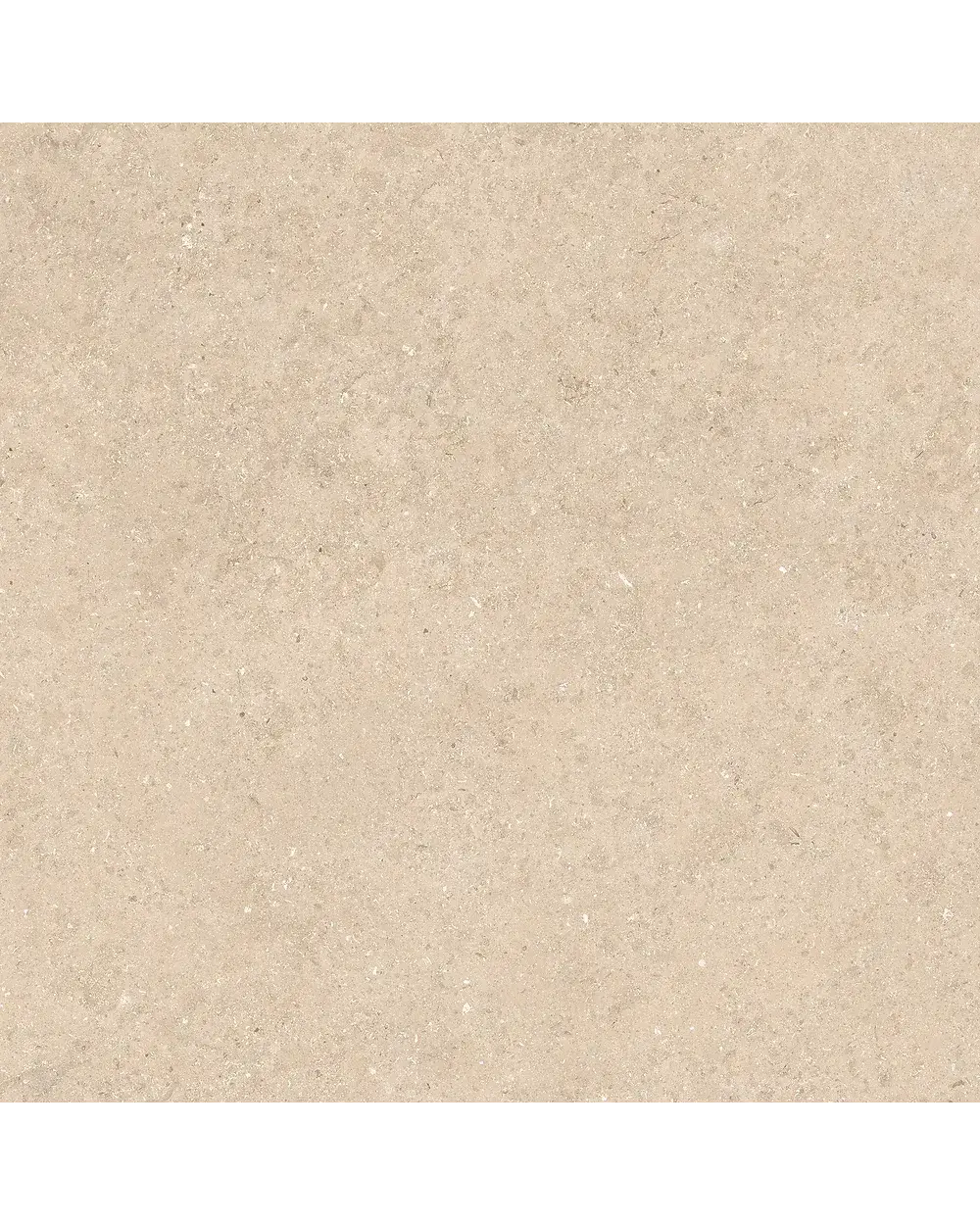 Beige Stein-Optik Fliese 60x60 cm, matt rektifiziert