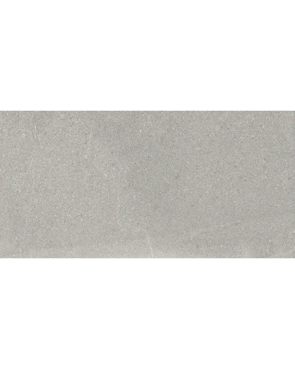Nordic Grey in Grey, Matt, 30x60 cm, Stone Look